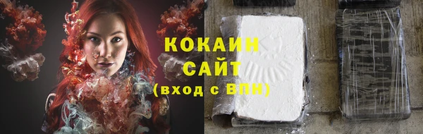 мет Няндома