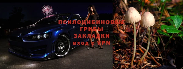 крисы Нягань