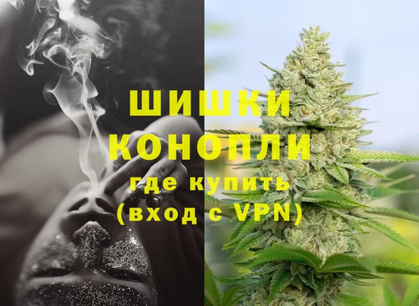 мет Няндома