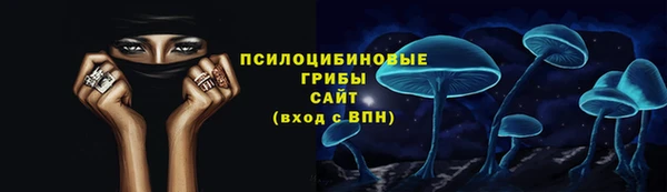 мет Няндома