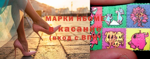 мет Няндома