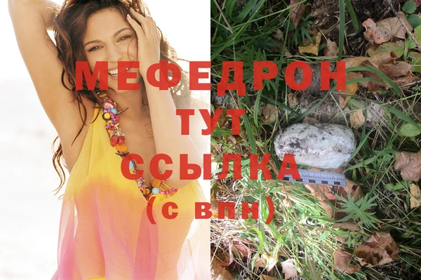 мет Няндома
