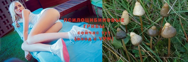 мет Няндома