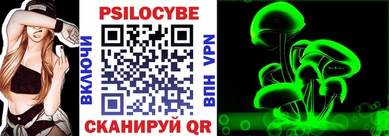 Галлюциногенные грибы Psilocybine cubensis  Андреаполь 